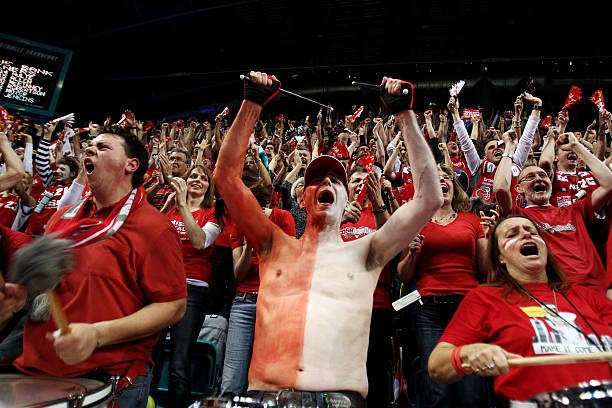 强大内线的 强大内线的