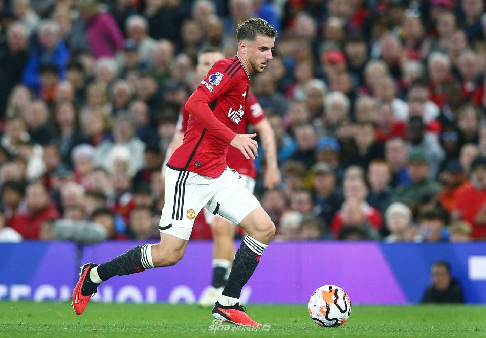 引援上的雄 引援上的雄